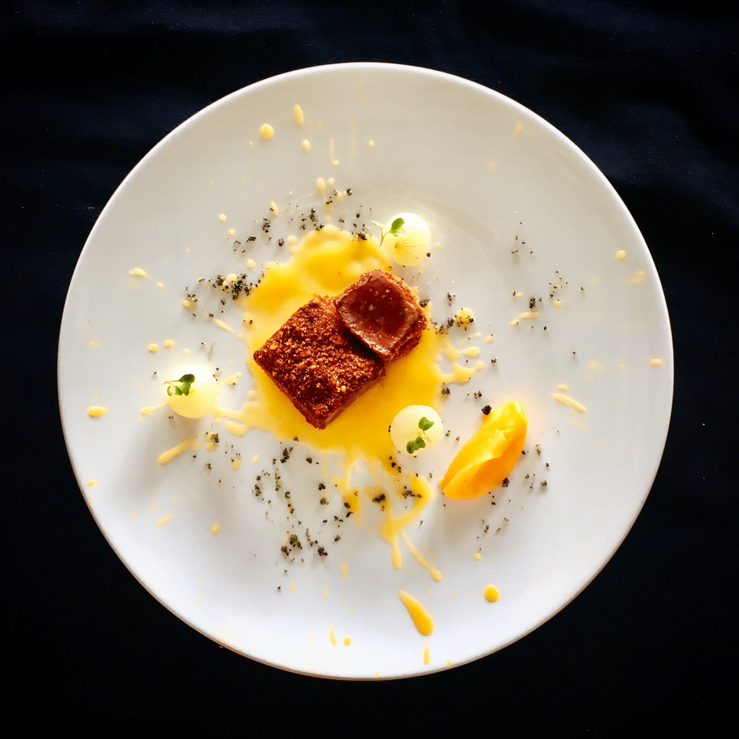 Gassing luxury private chef